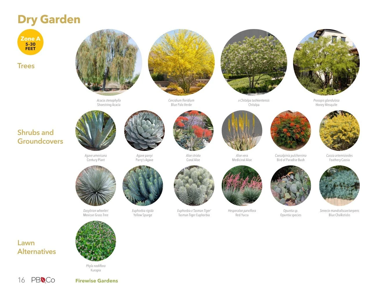 Firewise Gardens Booklet — Pamela Burton & Company
